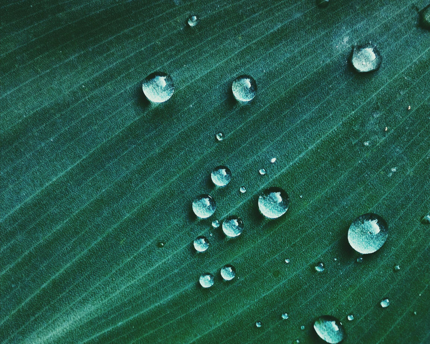 Waterfilters